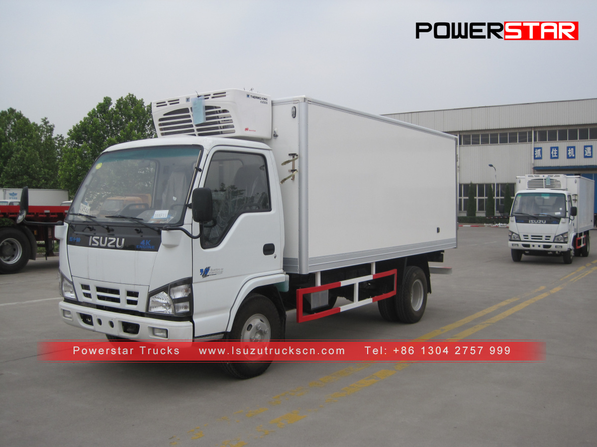 Чили тұтынушысы Frozen фургон ISUZU NKR Reefer Trucks жасады