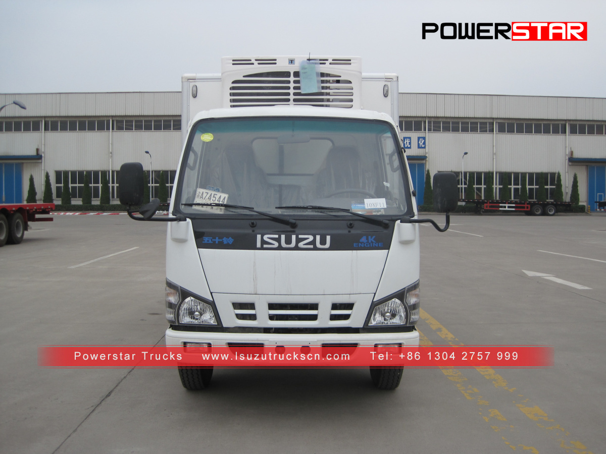 Чили тұтынушысы Frozen фургон ISUZU NKR Reefer Trucks жасады