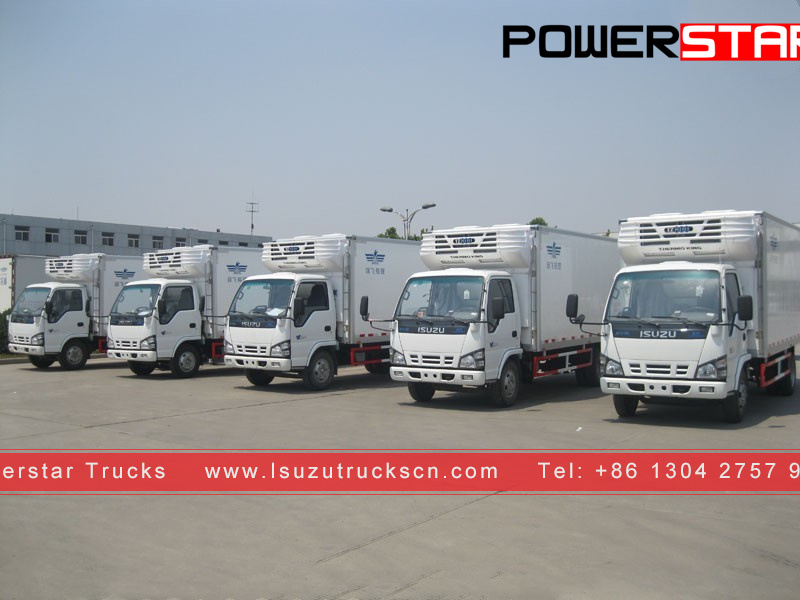 Чили тұтынушысы Frozen фургон ISUZU NKR Reefer Trucks жасады