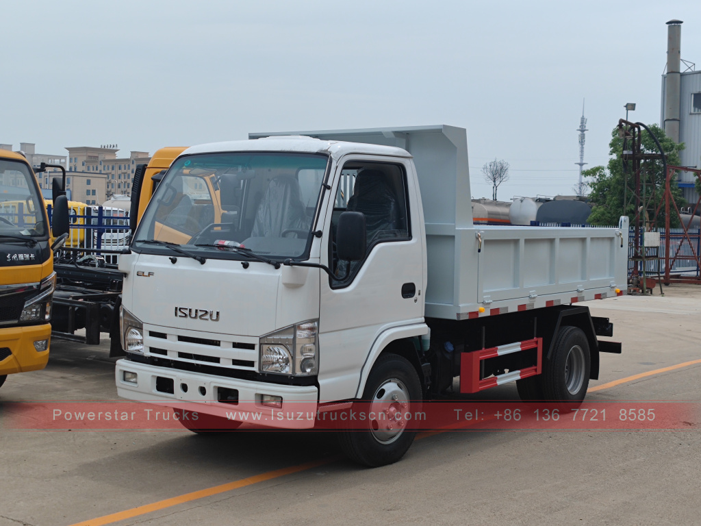 Филиппиндер ISUZU 4X2 6 доңғалақты самосвал 2T 3T 5T ​​Tipper шағын жүк көлігі сатылады