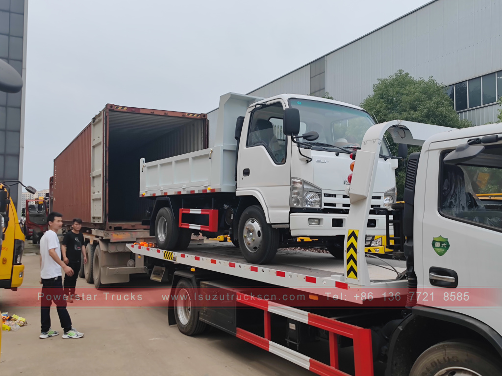 Филиппиндер ISUZU 4X2 6 доңғалақты самосвал 2T 3T 5T ​​Tipper шағын жүк көлігі сатылады