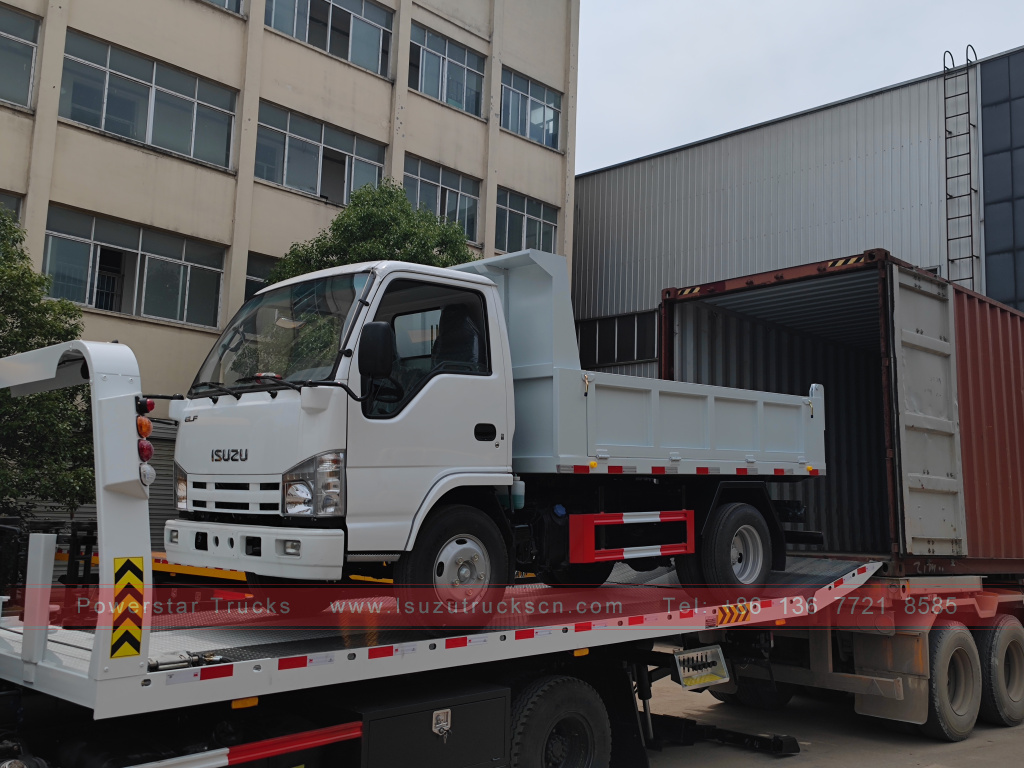 Филиппиндер ISUZU 4X2 6 доңғалақты самосвал 2T 3T 5T ​​Tipper шағын жүк көлігі сатылады