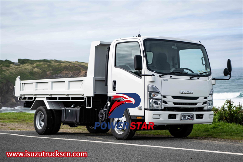 Isuzu elf 3 ton light duty dumper