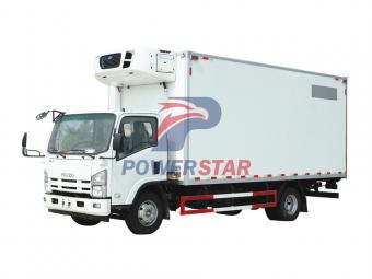 ISUZU NPR freezer box truck for sale