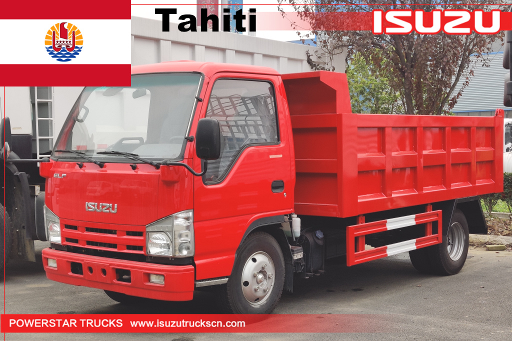 
     Таити - 1 бірлік ISUZU шағын элф самосвалы
    